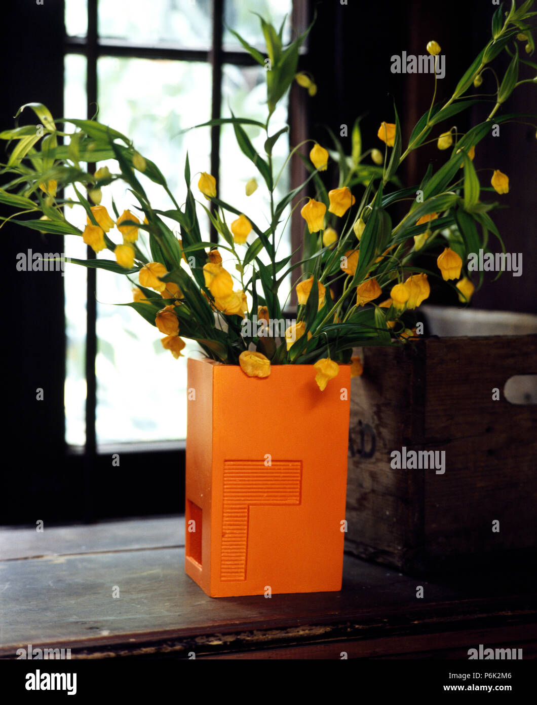 Close-up de fleurs jaunes dans un vase en caoutchouc rectangulaire orange Banque D'Images