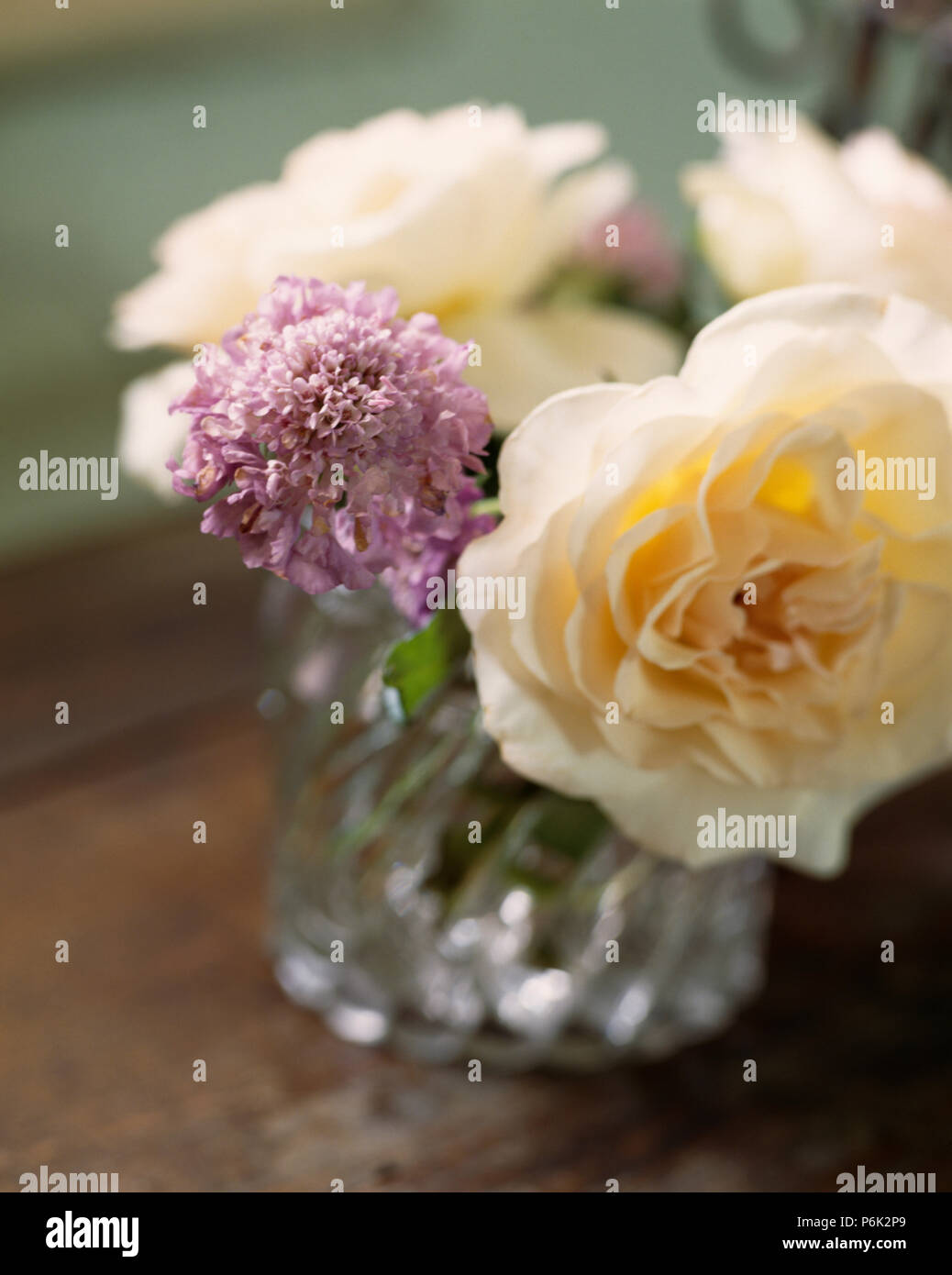 Close-up of bouquet de roses crème et mauve allium dans petit vase en verre Banque D'Images