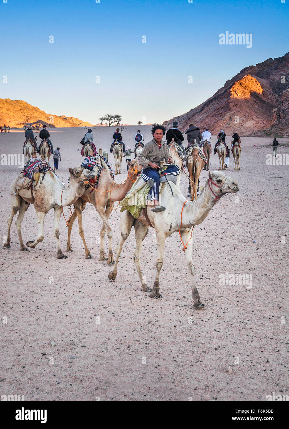 14Th Jan 2011 - Dahab, Egypte. Garçon égyptien monte un chameau dans le désert. Les touristes dans l'arrière-plan profitez de safari de chameau. Banque D'Images