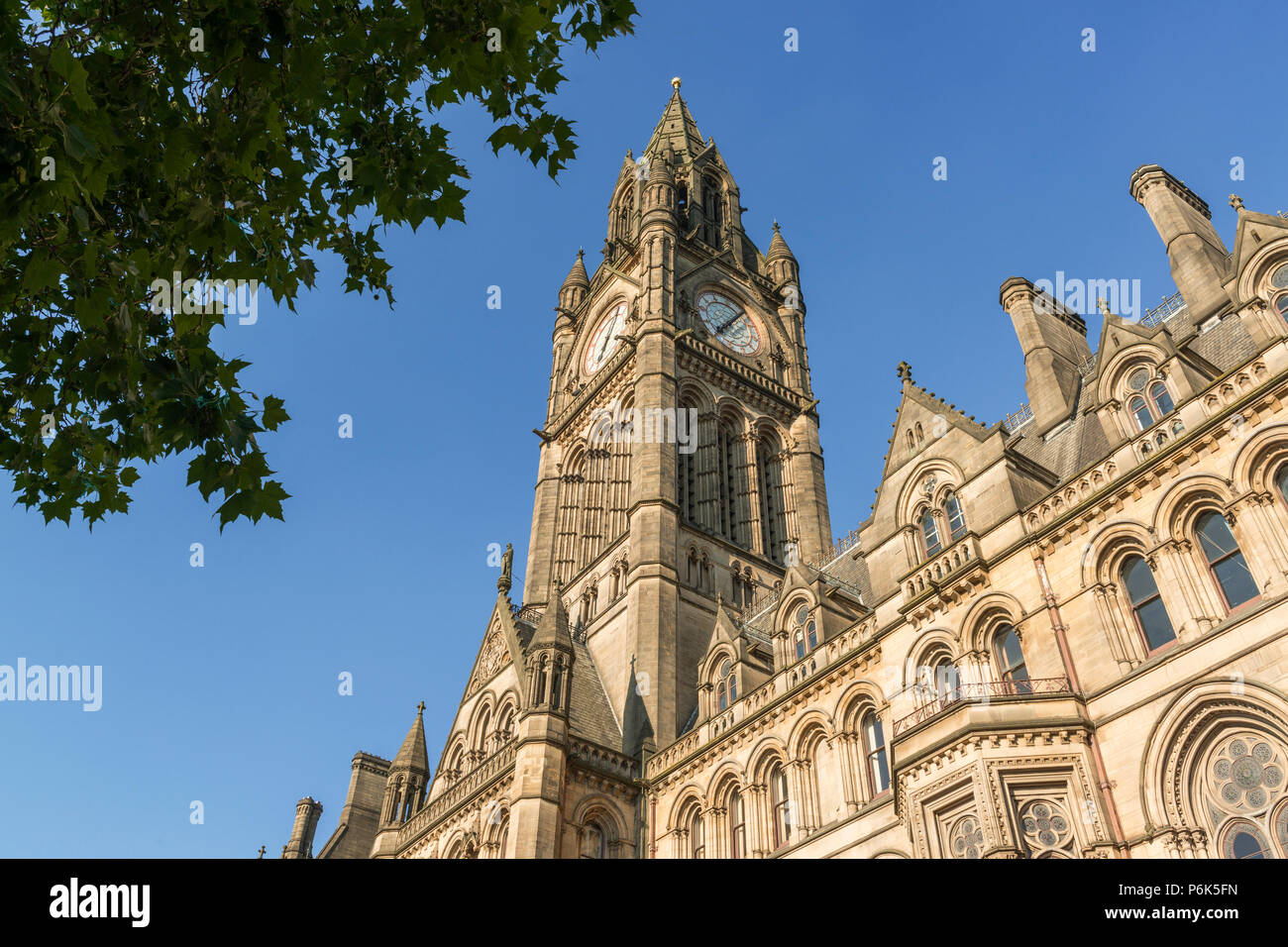 Hôtel de ville de Manchester dans l'Albert Square de la ville, avec des feuilles dans l'avant-plan. Banque D'Images