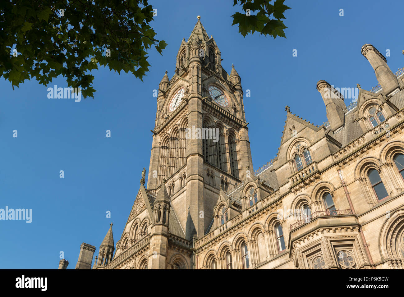 Hôtel de ville de Manchester dans l'Albert Square de la ville, avec des feuilles dans l'avant-plan. Banque D'Images