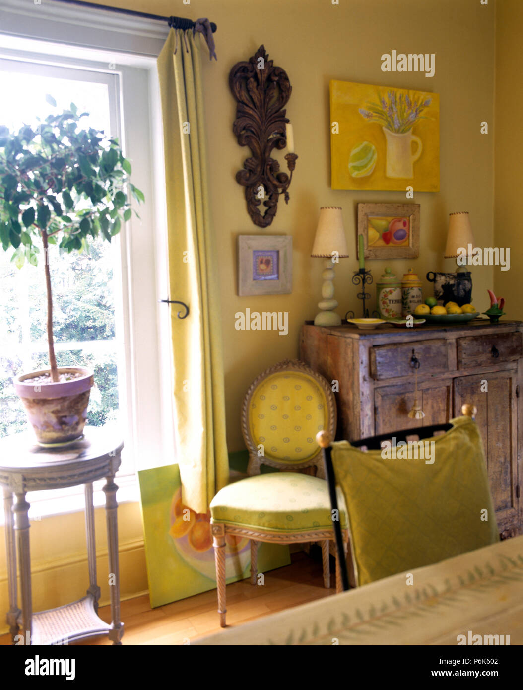 Bay Tree en pot sur une petite table dans la fenêtre jaune dans une salle à manger avec une applique murale au-dessus d'une chaise de salle à manger jaune capitonné Banque D'Images