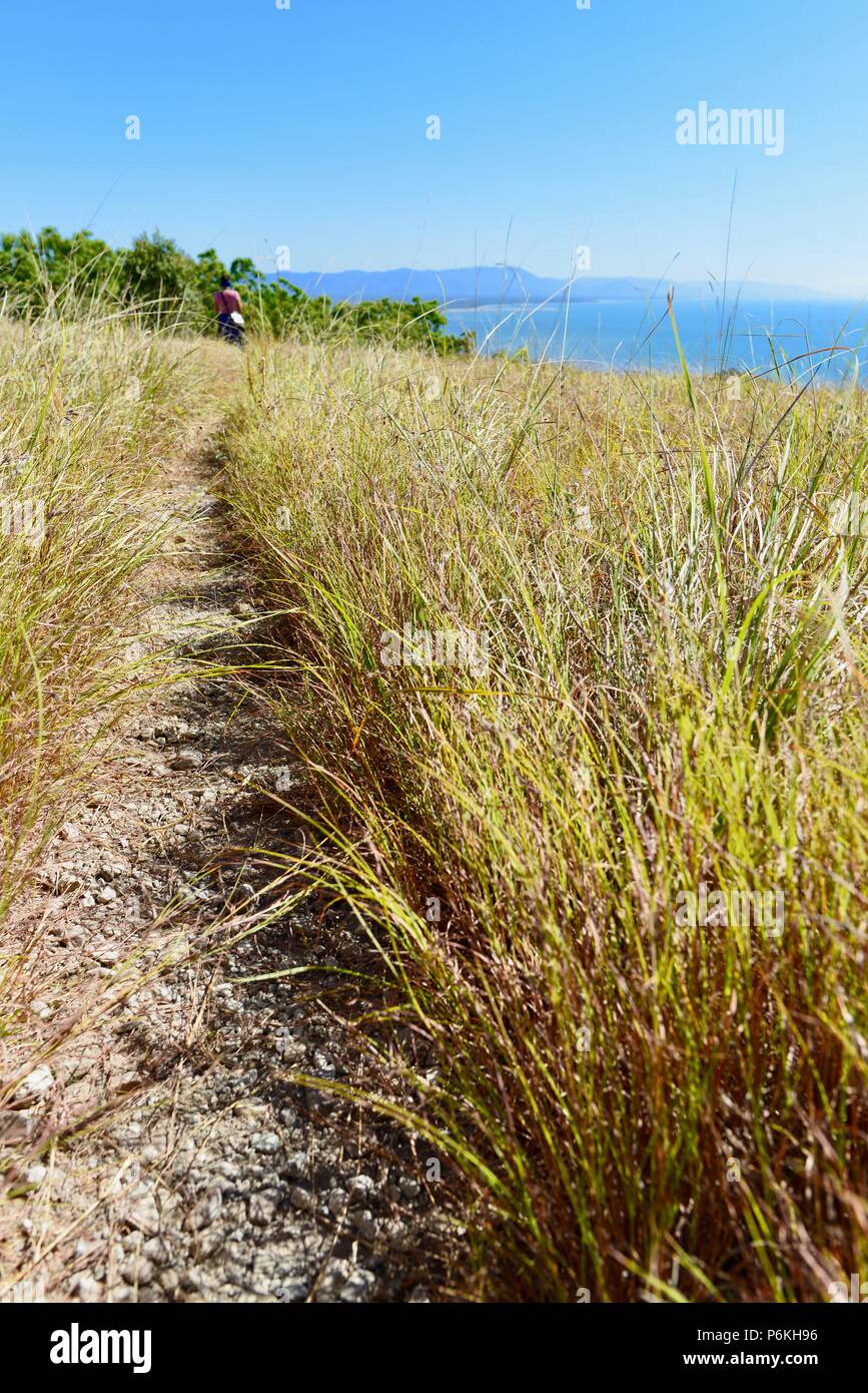 Paysages et pistes comme scène du sommet du mont Marlow, de nombreux pics de la randonnée au Mont Marlow, Townsville, Queensland 4810 Commune de la ville, de l'Australie Banque D'Images