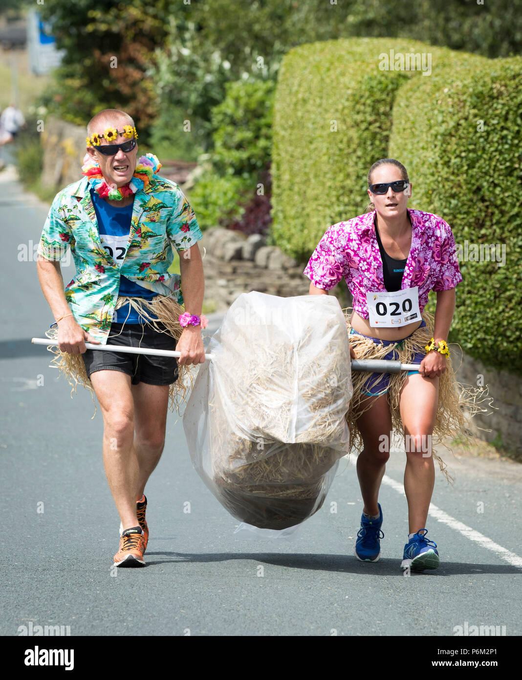 Concurrents prend part à la ferme de la course de la paille dans le Yorkshire, un 2,5 km course en robe portant une botte de paille de 20 kg, tout en arrêtant de pintes de bière le long de la route. Banque D'Images