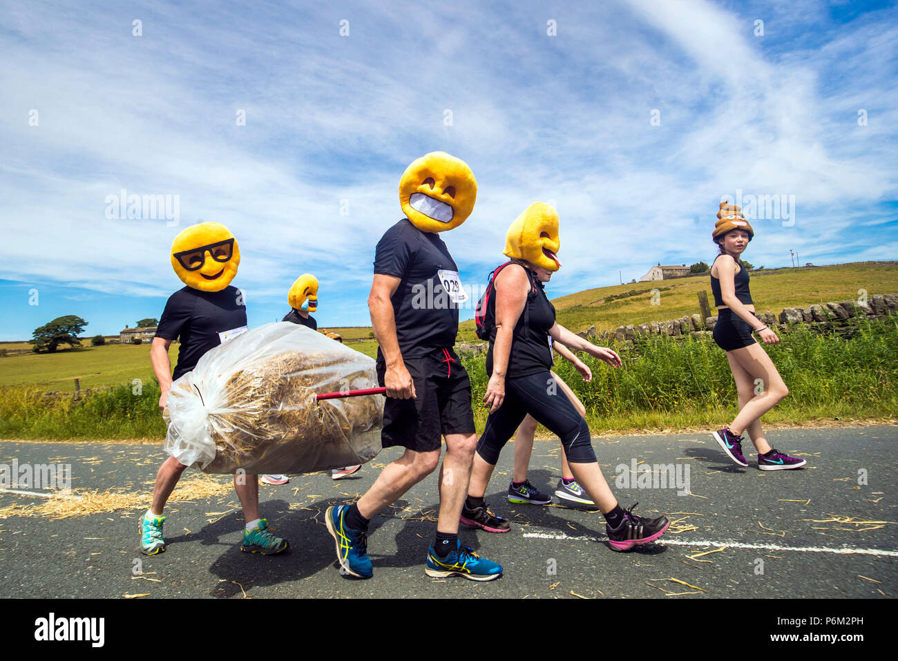 Concurrents prend part à la ferme de la course de la paille dans le Yorkshire, un 2,5 km course en robe portant une botte de paille de 20 kg, tout en arrêtant de pintes de bière le long de la route. Banque D'Images