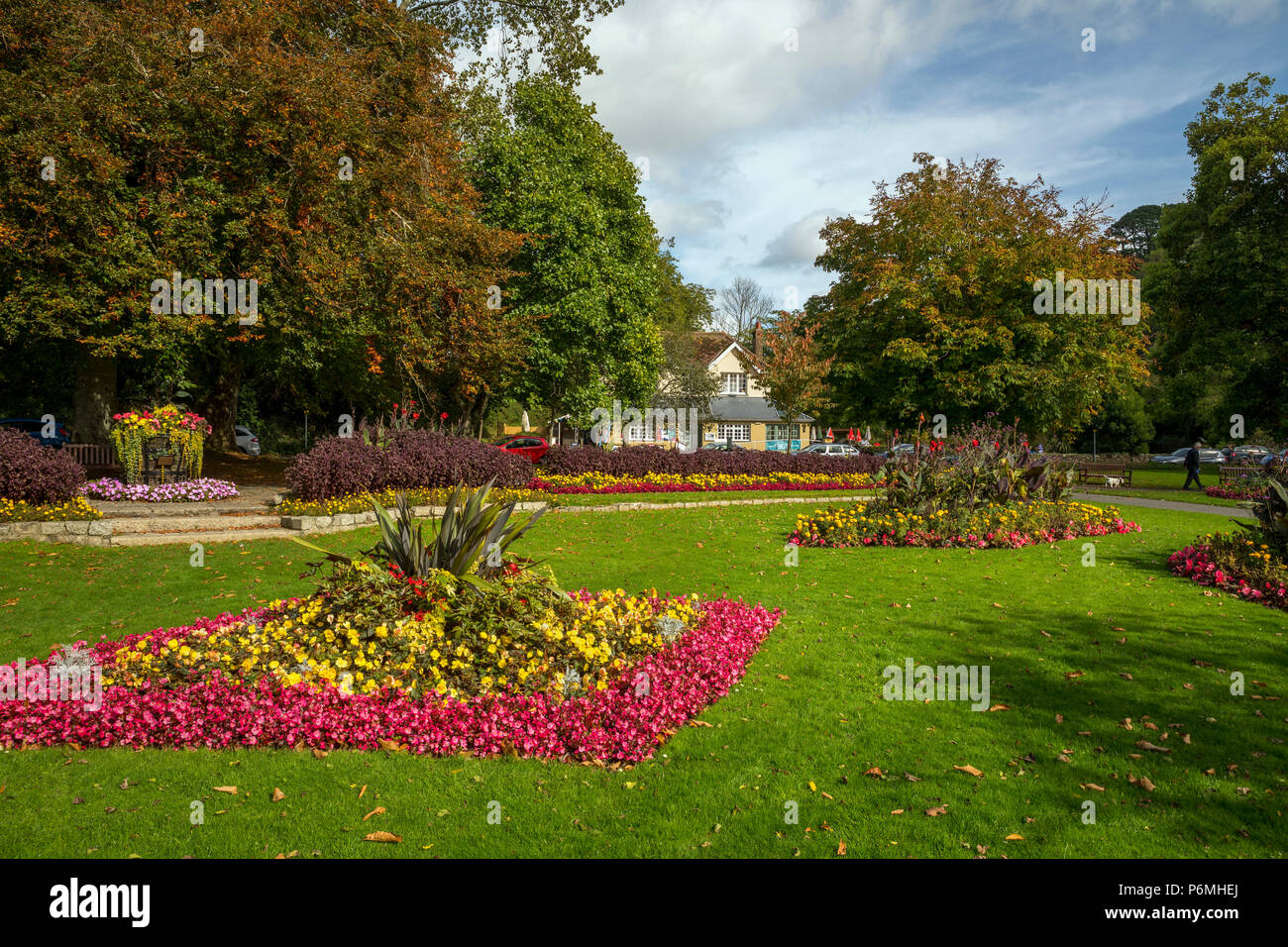 Boscawen Park ; Truro, Cornwall, UK Banque D'Images