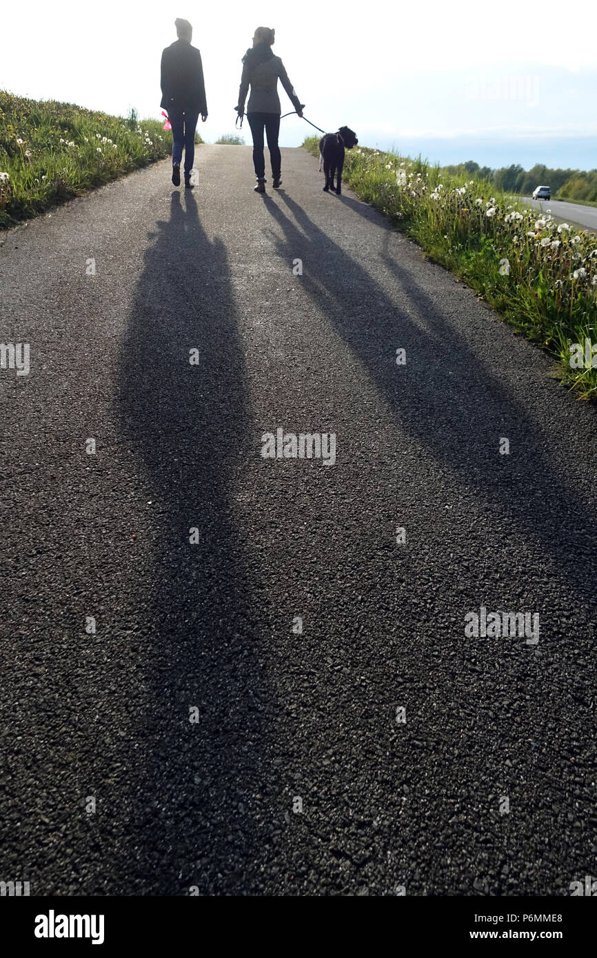 Hambourg, Allemagne, les femmes prendre une marche avec le chien Banque D'Images