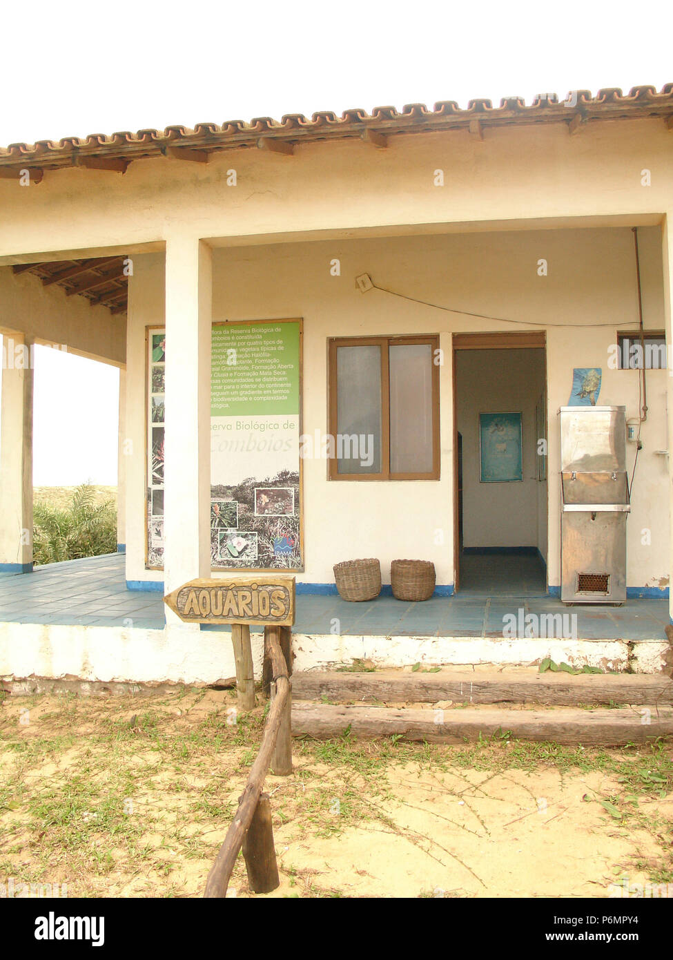 Musée, mammifère marin, la base de protection, les tortues de mer, Réserve Biologique de Comboios Espírirto Santo, Brésil. Banque D'Images