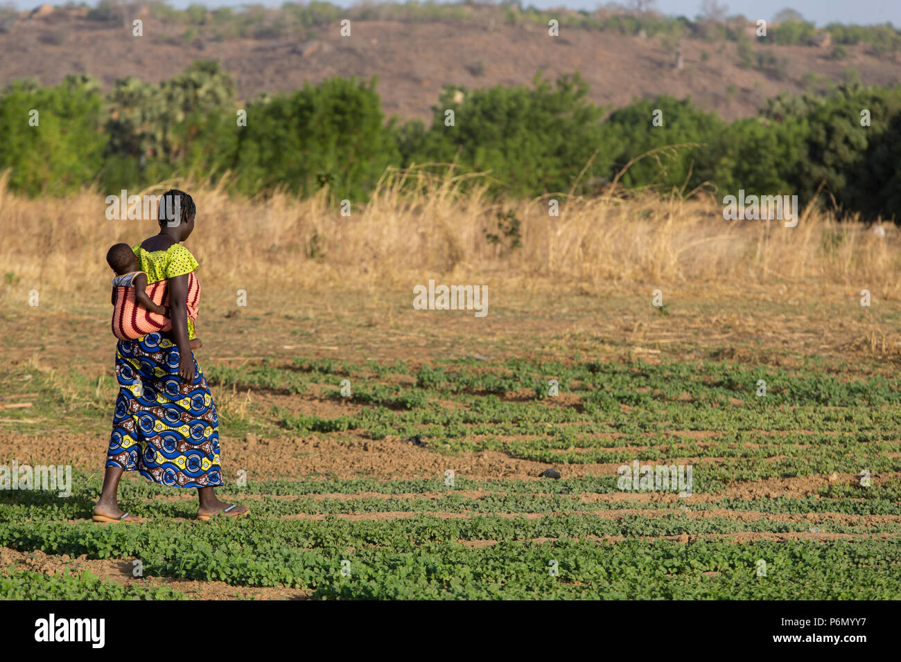 Mère togolaise marche dans un champ dans Karsome, Togo. Banque D'Images
