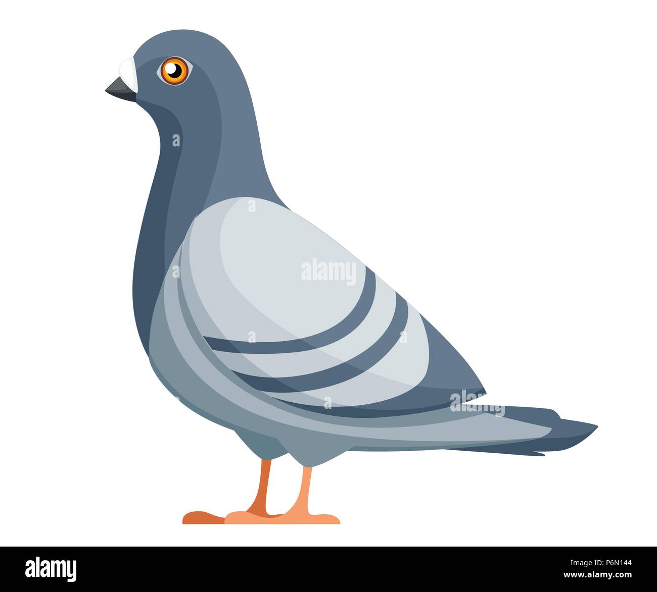 Oiseau Pigeon. Télévision cartoon character design. L'icône d'oiseaux colorés. Pigeon mignon modèle. Vector illustration isolé sur fond blanc. Illustration de Vecteur
