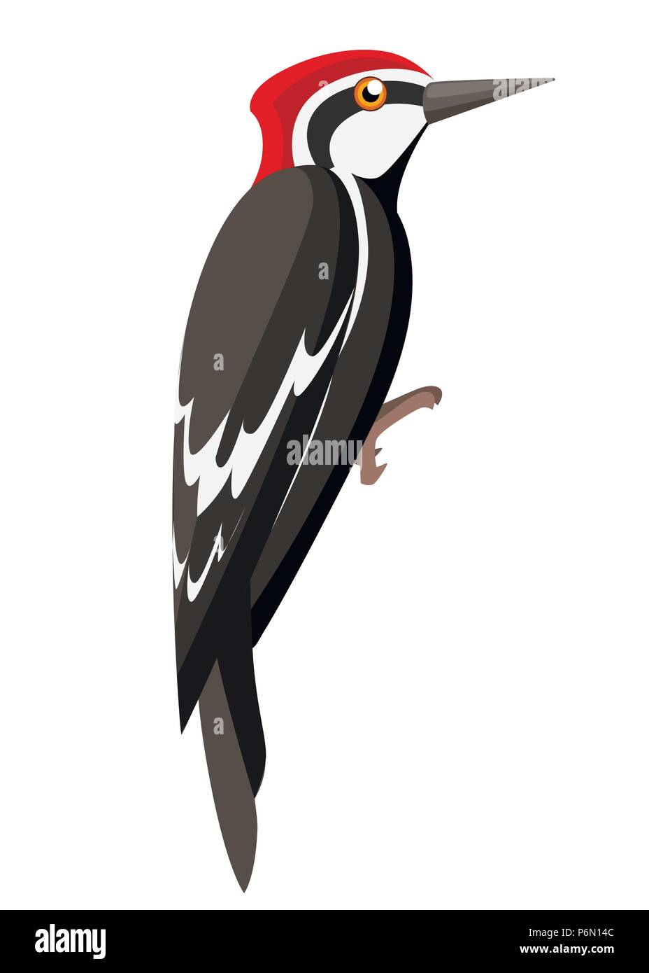 Woodpecker bird. Télévision cartoon character design. L'icône d'oiseaux colorés. Pic mignon modèle. Vector illustration isolé sur fond blanc. Illustration de Vecteur