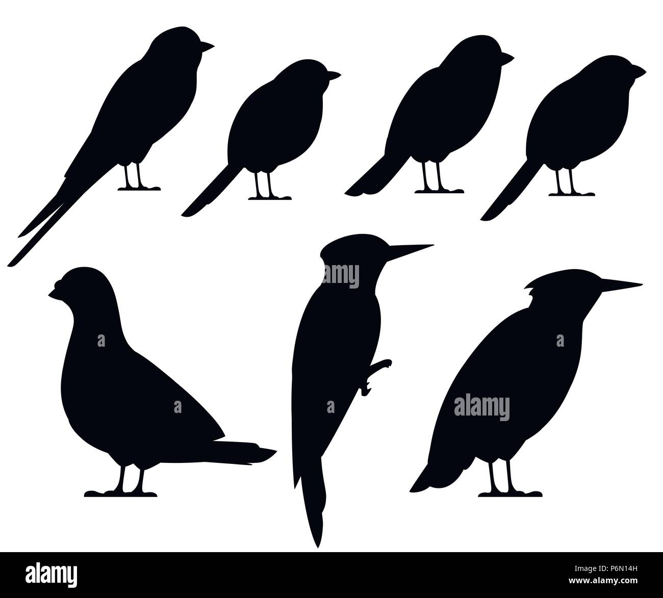 Oiseau Noir collection silhouette. Pigeon, Sparrow, Mésange bicolore, avaler, roux, le Starling, colvert. Télévision. icône oiseaux Vector illustration isolé o Illustration de Vecteur Oiseau Noir collection silhouette. Pigeon, Sparrow, Mésange bicolore, avaler, roux, le Starling, colvert. Télévision. icône oiseaux Vector illustration isolé o Illustration de Vecteur