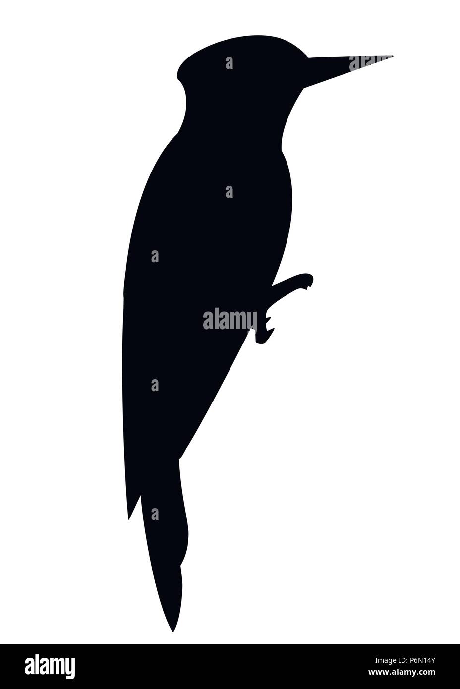 Silhouette noire. Woodpecker bird. Télévision cartoon character design. L'icône d'oiseaux noirs. Pic mignon modèle. Vector illustration isolé sur blanc bac Illustration de Vecteur