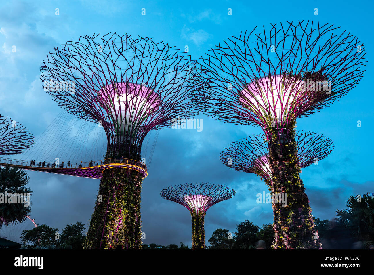 Singapour - Jun 22, 2018 : Super Tree Grove structures végétales dans le jardin près de la baie de Singapour Le centre-ville après le coucher du soleil pour une lumière allumée et la musique Banque D'Images