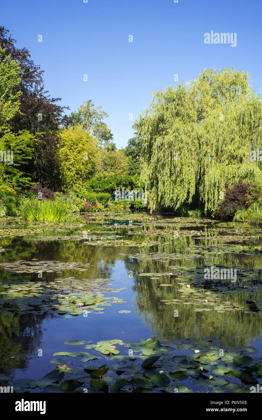 L'étang de l'eau en été, Jardin à la maison du peintre impressionniste Claude Monet à Giverny, Eure, Normandie, France Banque D'Images