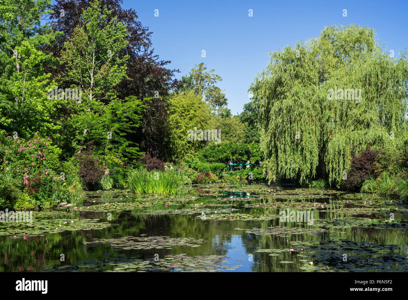 L'étang de l'eau en été, Jardin à la maison du peintre impressionniste Claude Monet à Giverny, Eure, Normandie, France Banque D'Images