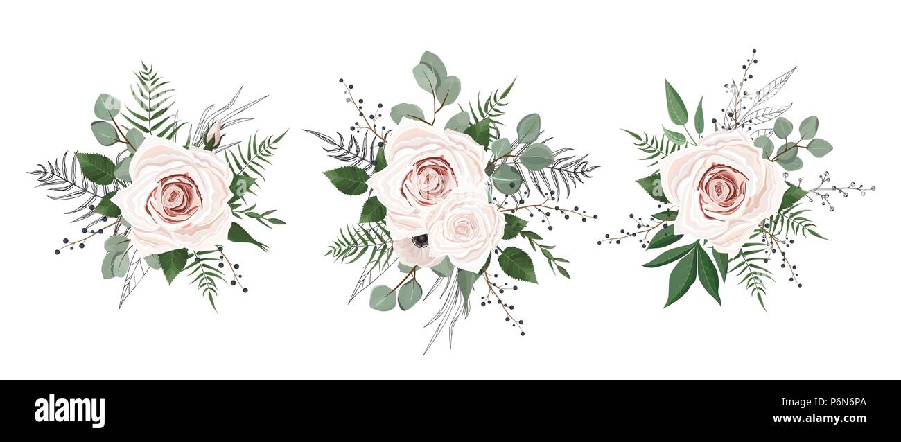 Fleurs de vecteur défini. Collection de fleurs colorées avec des feuilles et des fleurs. Illustration de Vecteur