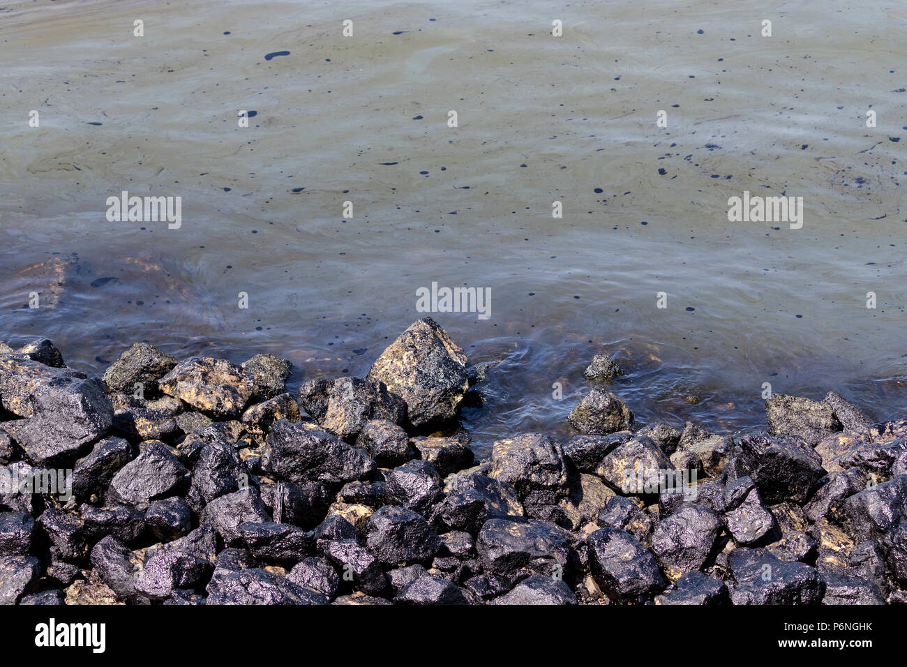 La pollution de l'huile à la rive Banque D'Images