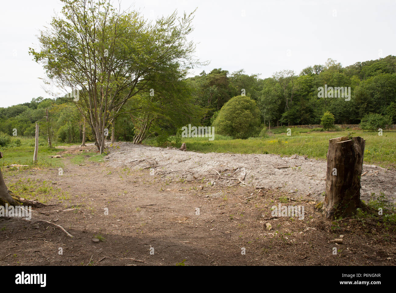 La terre et les arbres qui ont été effacés autour d'une extrémité du lac, près de l'eau Hawes Silverdale dans le Lancashire. L'eau Hawes se trouve dans les castrats de la démarche Natio Banque D'Images