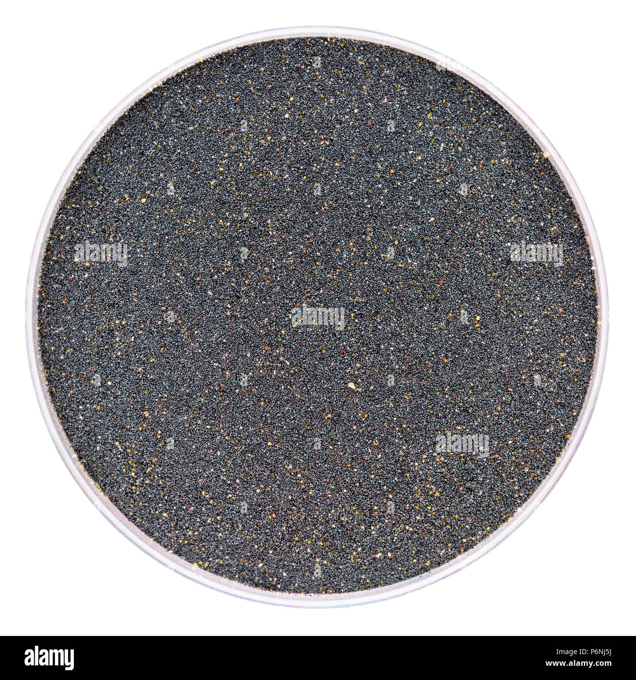 Échantillon de sable magnétique noir de Ocean Beach, aire de loisirs nationale du Golden Gate, San Francisco, Californie - top vew d'une boîte de Pétri Banque D'Images