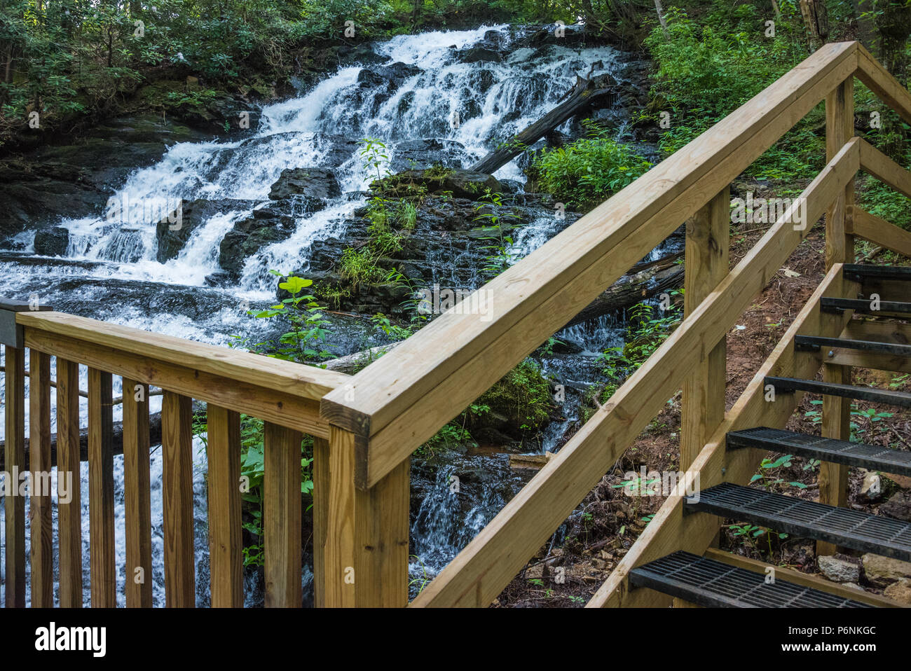 Trahlyta Falls au Parc d'état de Vogel dans les Blue Ridge Mountains au nord-est de la Géorgie. (USA) Banque D'Images