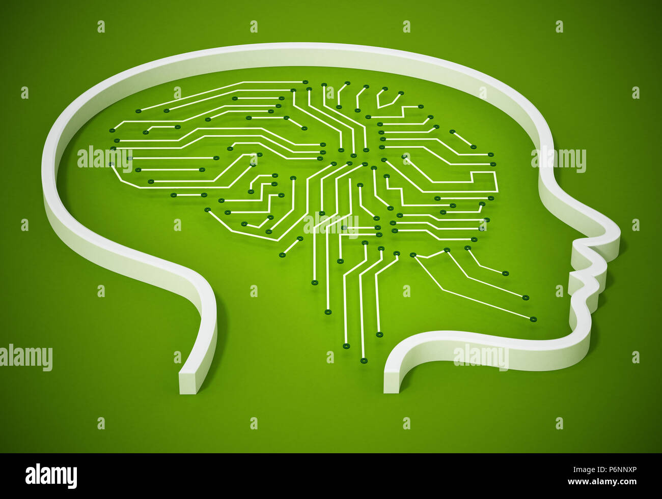 La tête d'une femme à l'intérieur du cerveau des BPC. 3D illustration. Banque D'Images