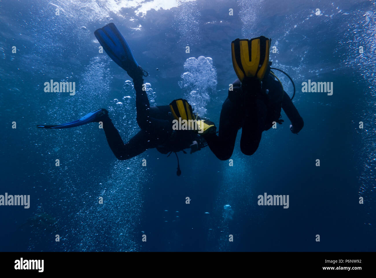 Couple de plongeurs sont plonger dans l'eau bleu près de la surface. Banque D'Images