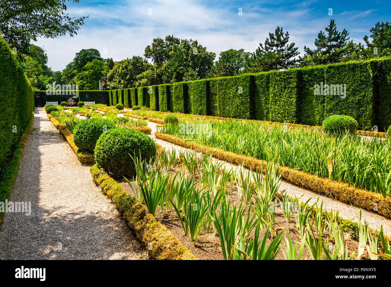 Le Jardin d'Iris à l'intérieur du parc de Bagatelle à Paris, France Banque D'Images