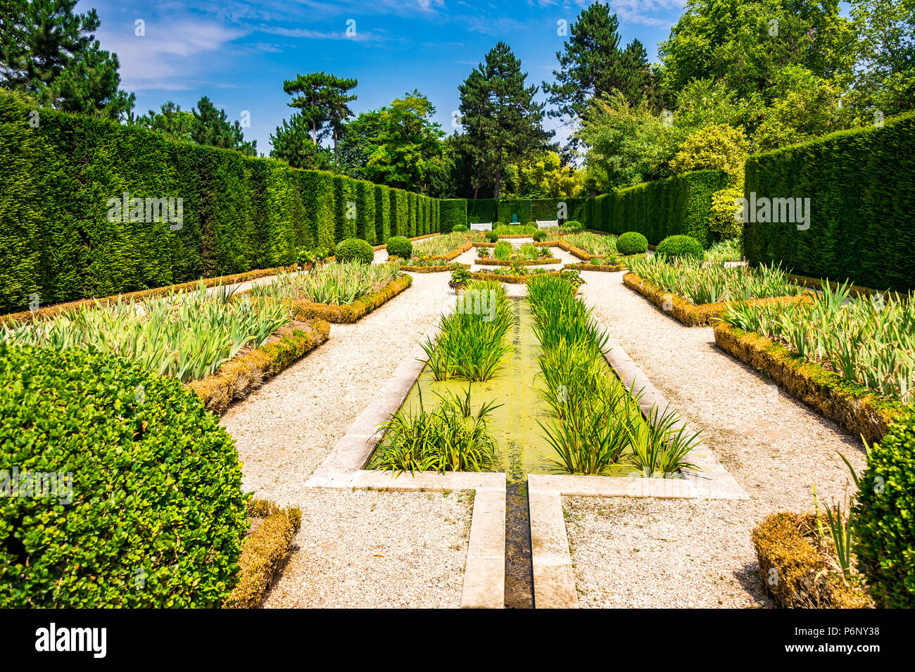 Le Jardin d'Iris à l'intérieur du parc de Bagatelle à Paris, France Banque D'Images