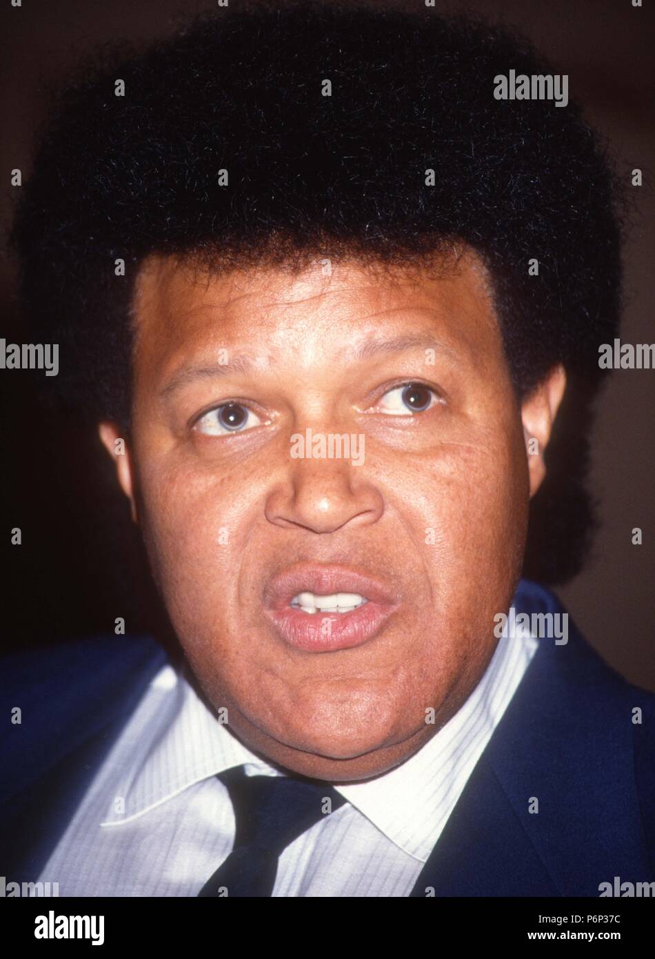 Chubby Checker 1990 Photo par Adam Scull/PHOTOlink/MediaPunch Banque D'Images