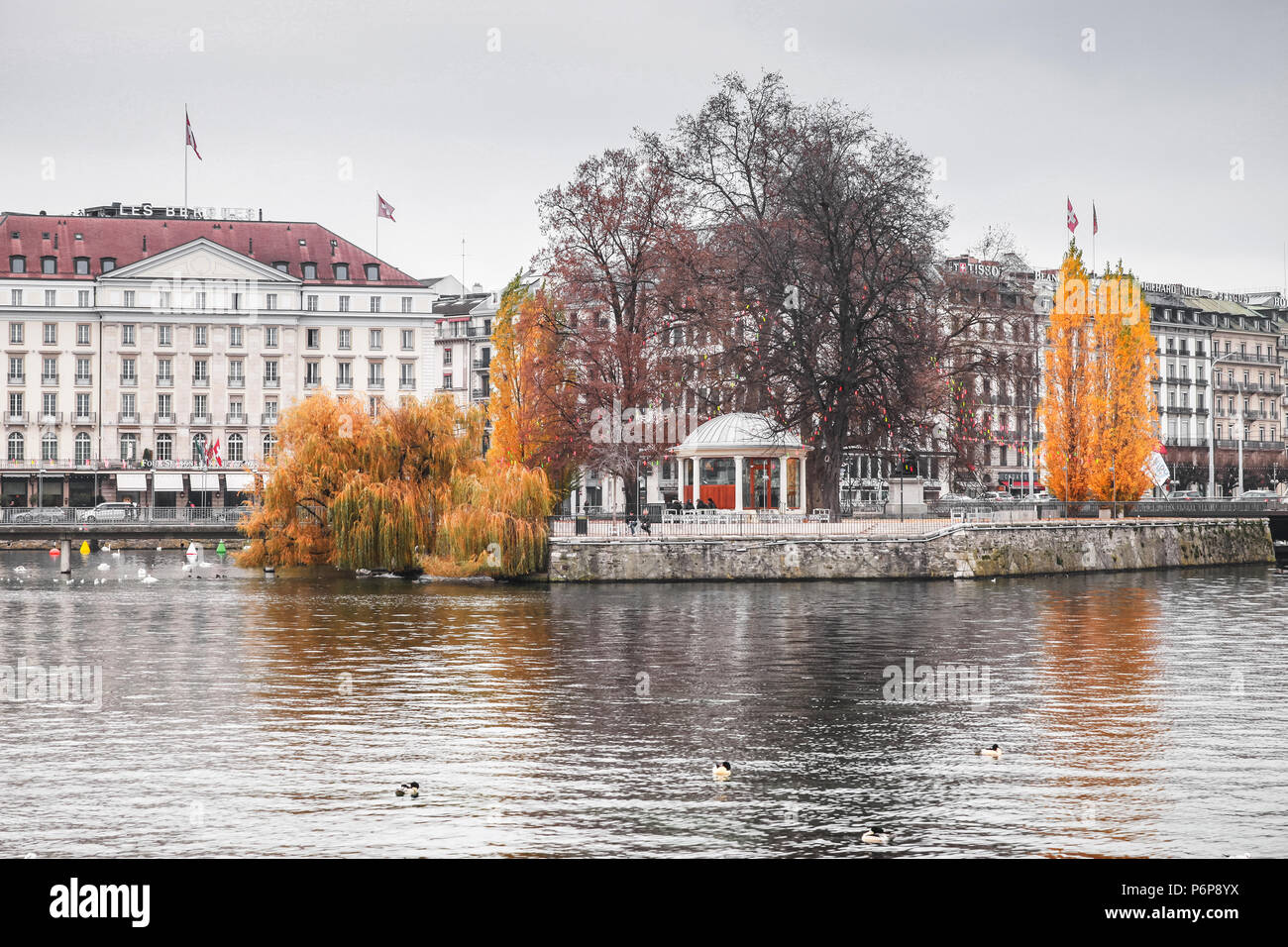 Genève, Suisse - le 26 novembre 2016 : paysage urbain de la ville de Genève. L'île Rousseau et petit parc sur le Rhône en automne Banque D'Images