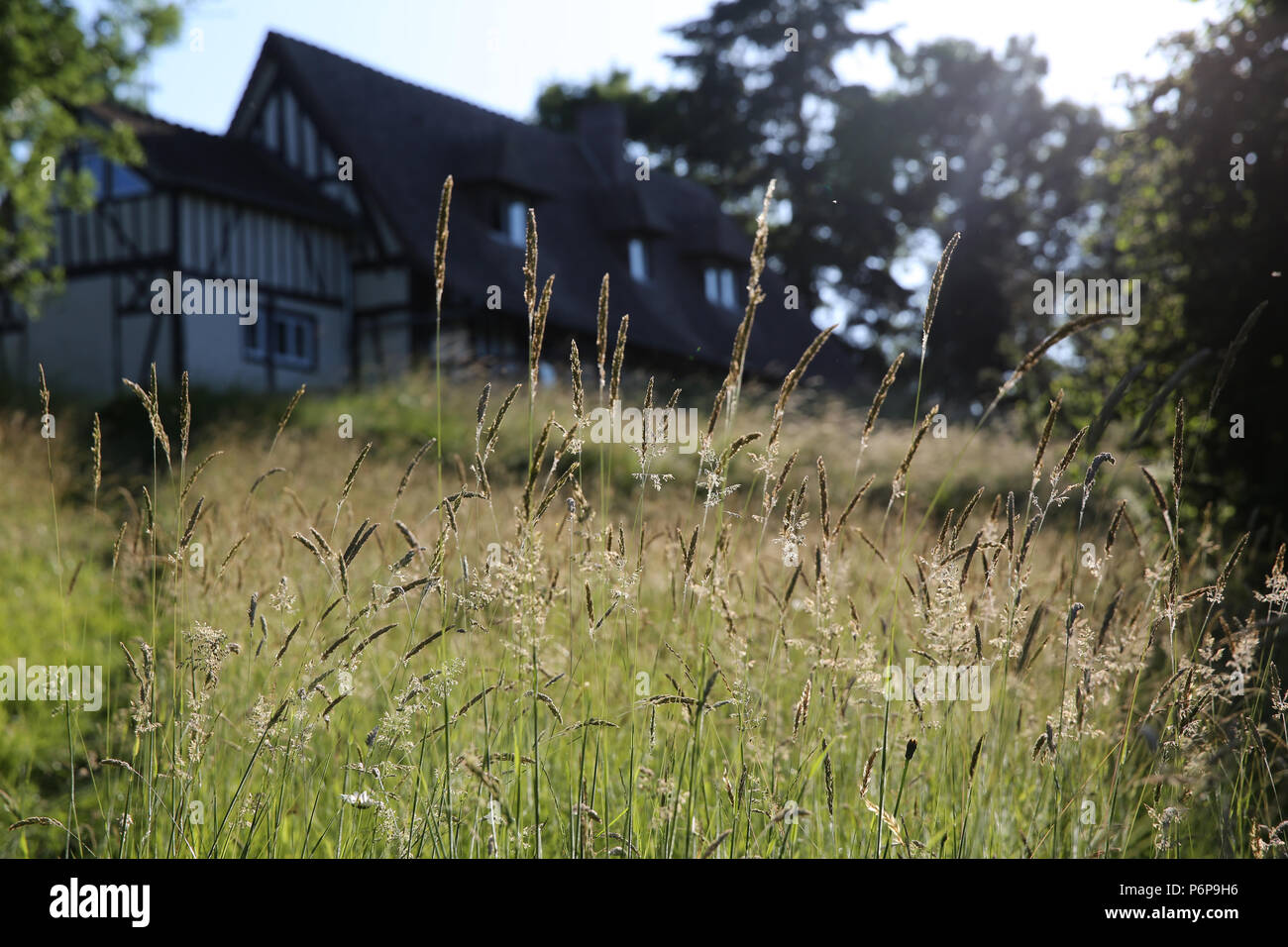 Jardin et maison en Normandie, France. Banque D'Images