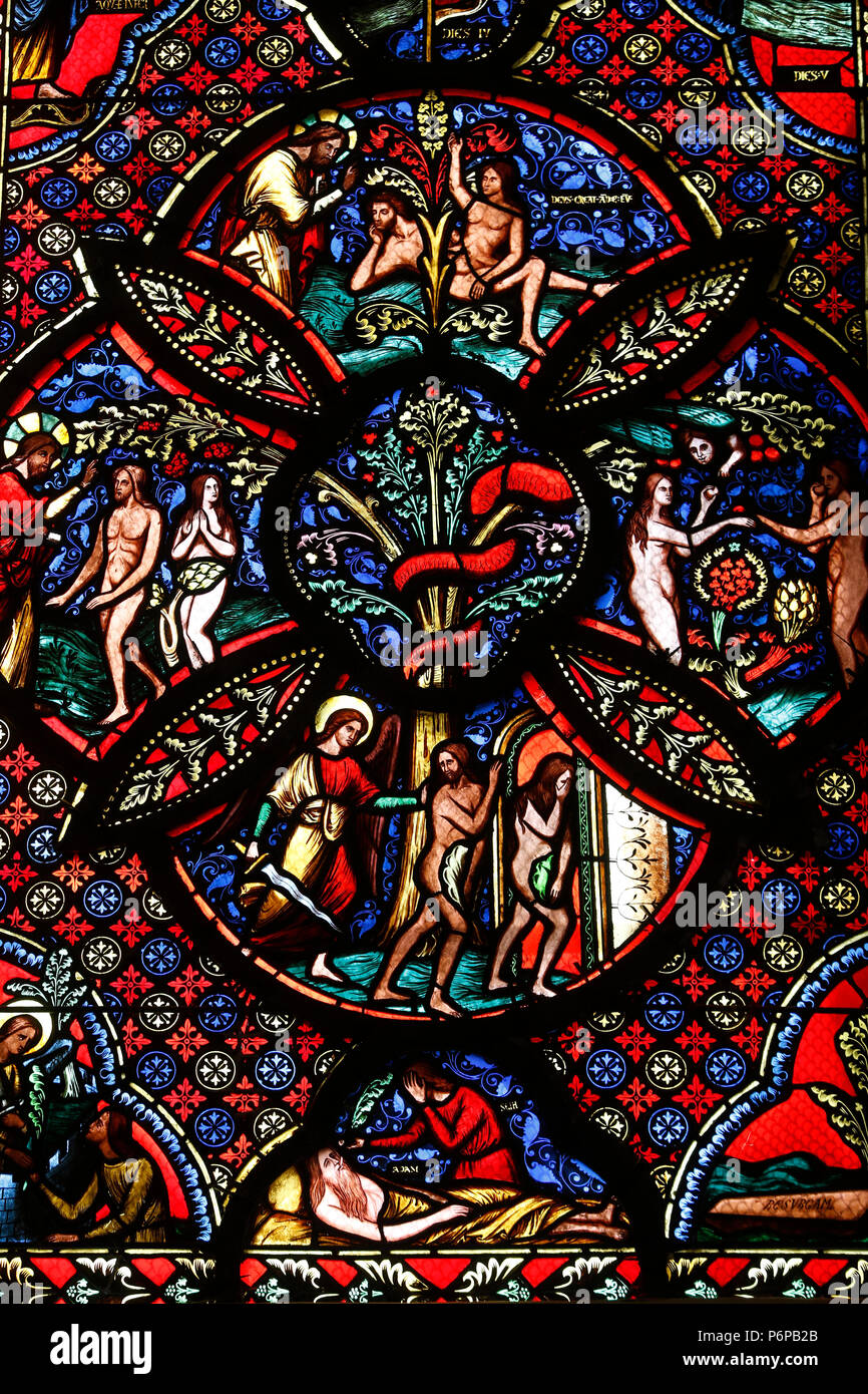 Basilique Notre-Dame du Port, Clermont-Ferrand, Auvergne. La France. Vitrail. La genèse. Banque D'Images