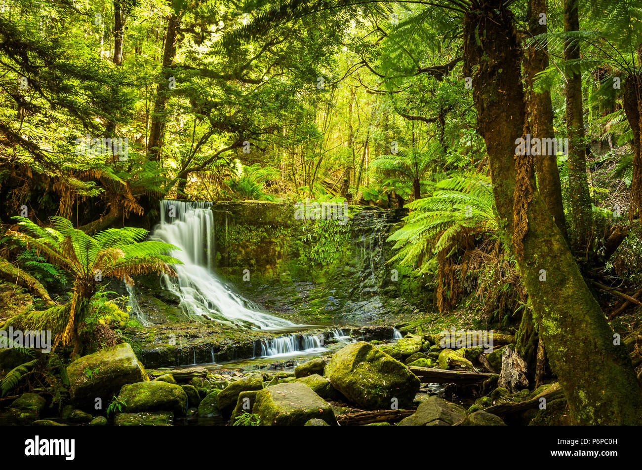 Horseshoe Falls Mount Field National Park. Banque D'Images