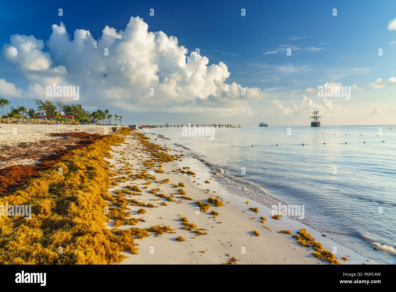 Punta Cana, République dominicaine - 19 juin 2018 : l'algue sargassum sur la plage de l'océan beaytiful à Bavaro, Punta Cana, le résultat du réchauffement climatique Le changement climatique. Banque D'Images
