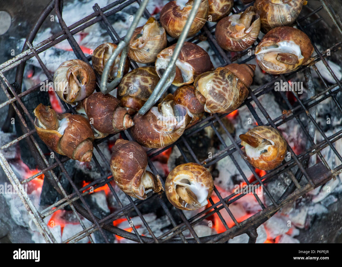 Les escargots sont griller sur le grill. Grille de cuisson sur les escargots sur charbon. Banque D'Images