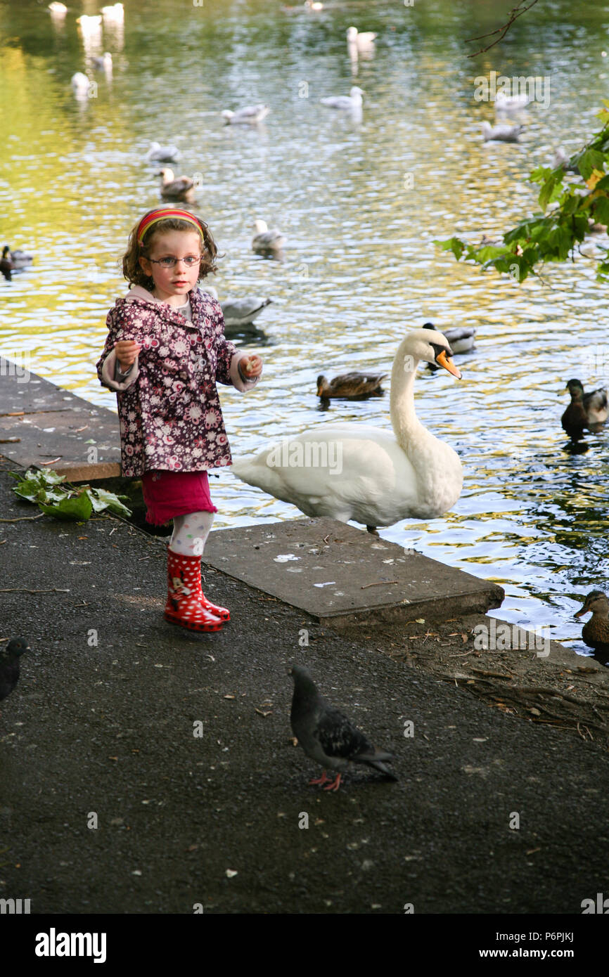 Jeune fille en rouge bottes jouant dans le parc l'alimentation des oiseaux en automne, Dublin, Irlande, Europe. Banque D'Images