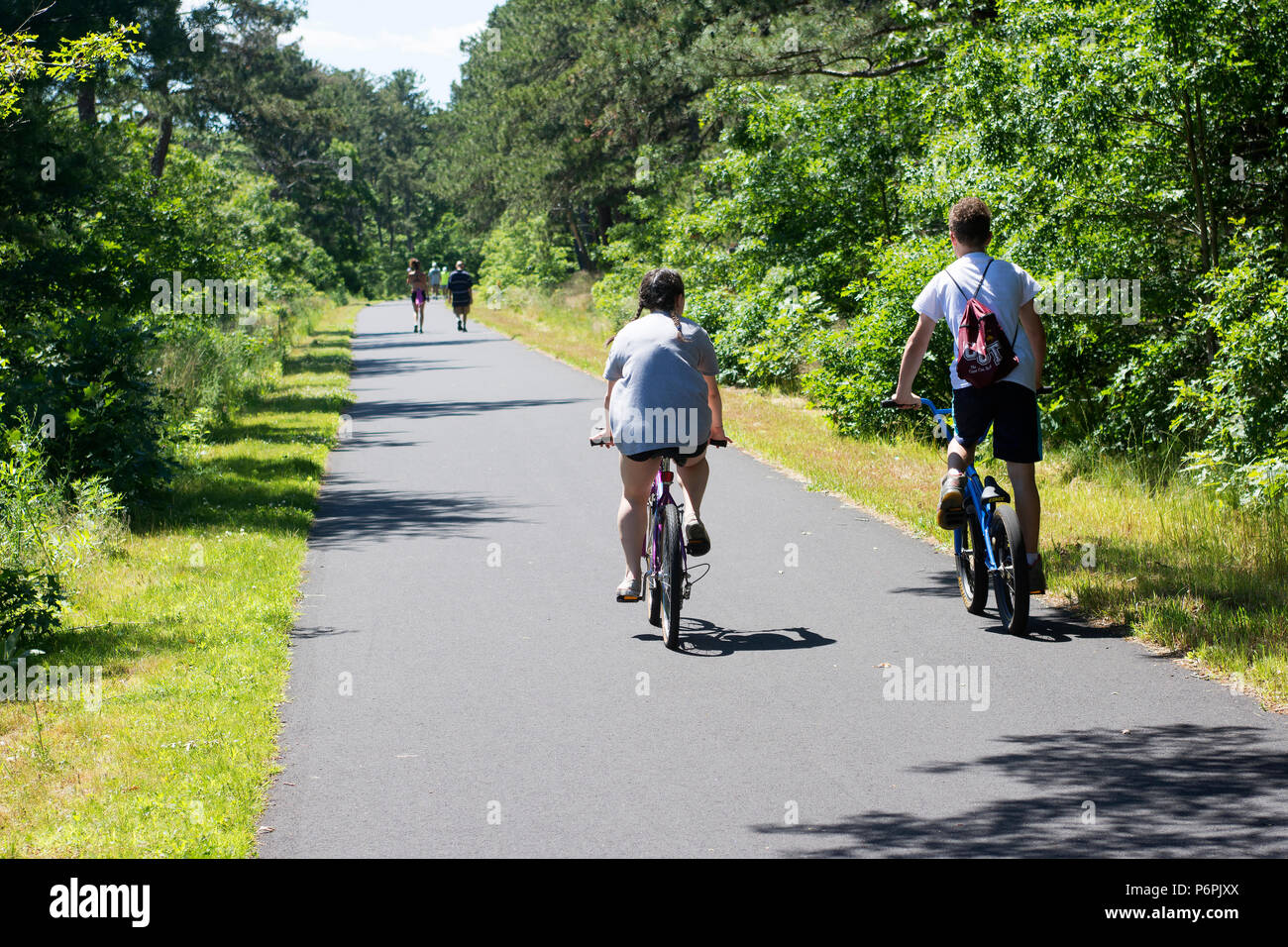 Prêt de vélos le long de la Cape Cod Rail Trail piste cyclable dans Dennis, Massachusetts, USA Banque D'Images