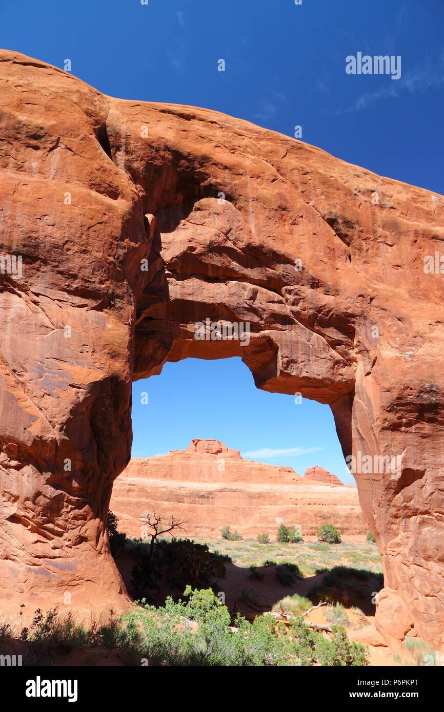 Parc National Arches dans l'Utah, USA. Arch Rock pin rouge. Banque D'Images