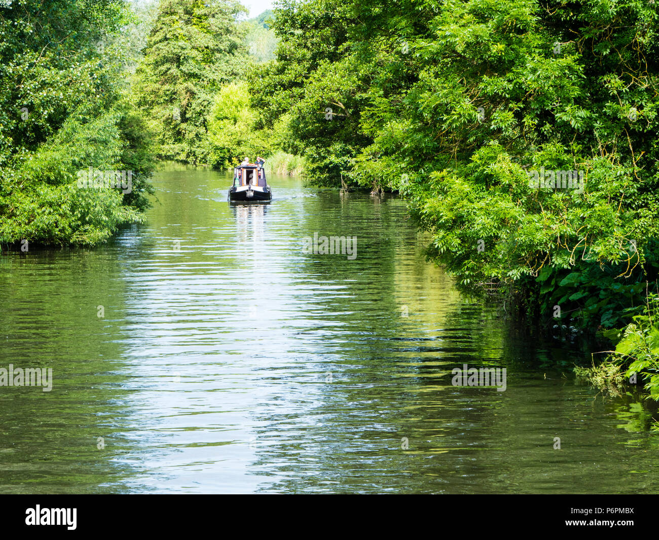 15-04 sur la rivière Kennett, Woolhampton, Berkshire, Angleterre, RU, FR. Banque D'Images