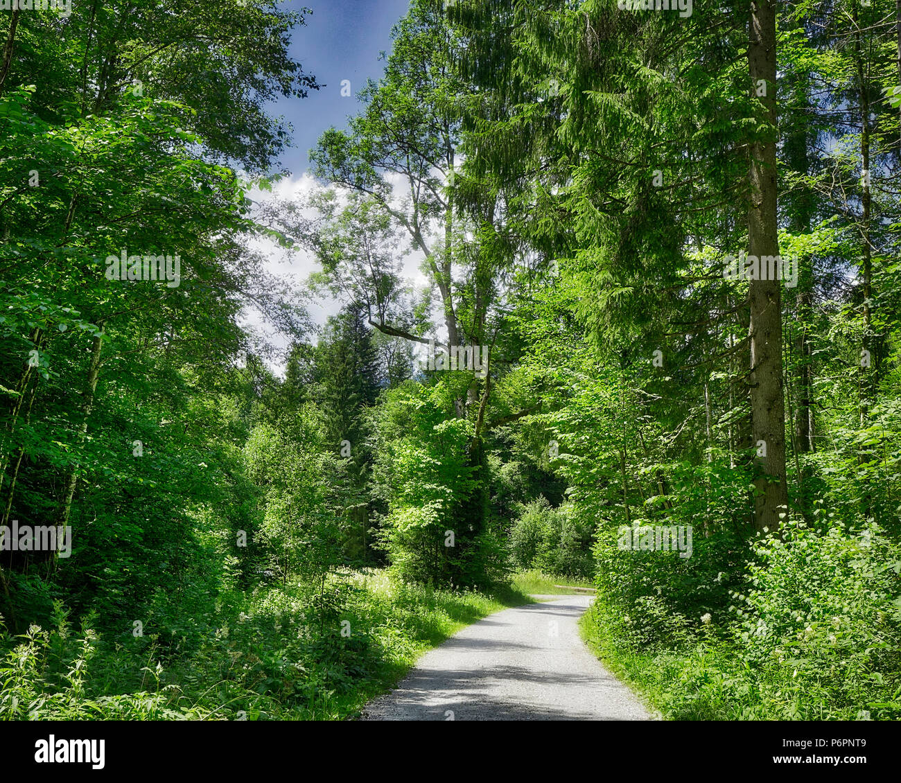 DE - La Bavière : route à travers le Hirschbachtal populaires près de Lenggries (image HDR) Banque D'Images