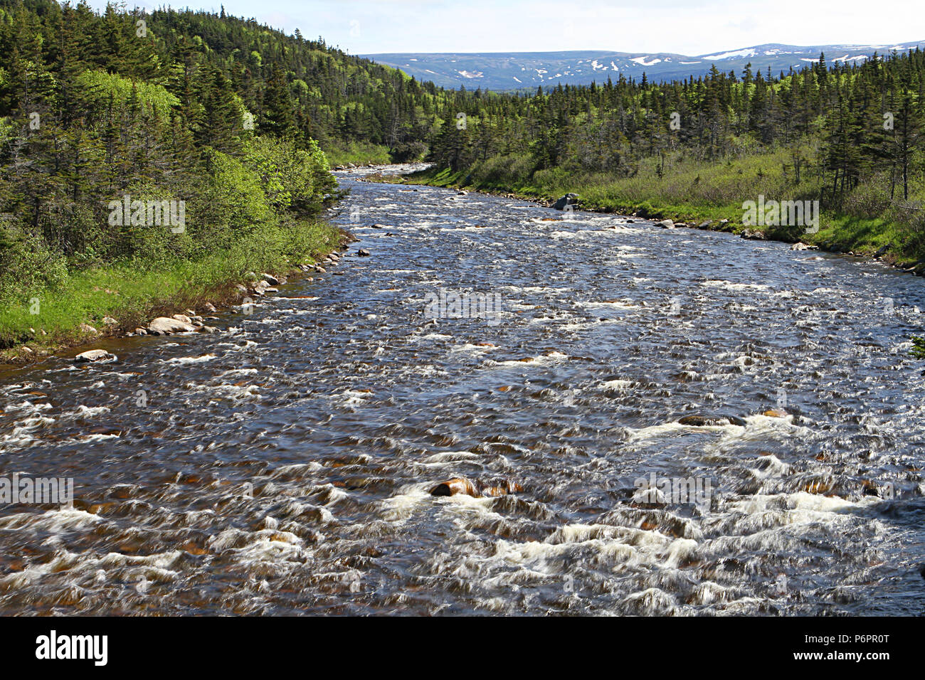 Les Labrador, Canada. Les scenic paysage le long de la côte du Labrador 510N, Trans Labrador, Terre-Neuve-Labrador, Canada Banque D'Images