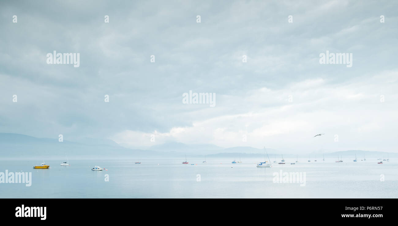 Oiseau volant au-dessus du détroit de Menai à Beaumaris, sur l'île d'Anglesey au Pays de Galles, Royaume-Uni, avec des bateaux sur l'eau et une vue lointaine vers une Snowdonia misty Banque D'Images
