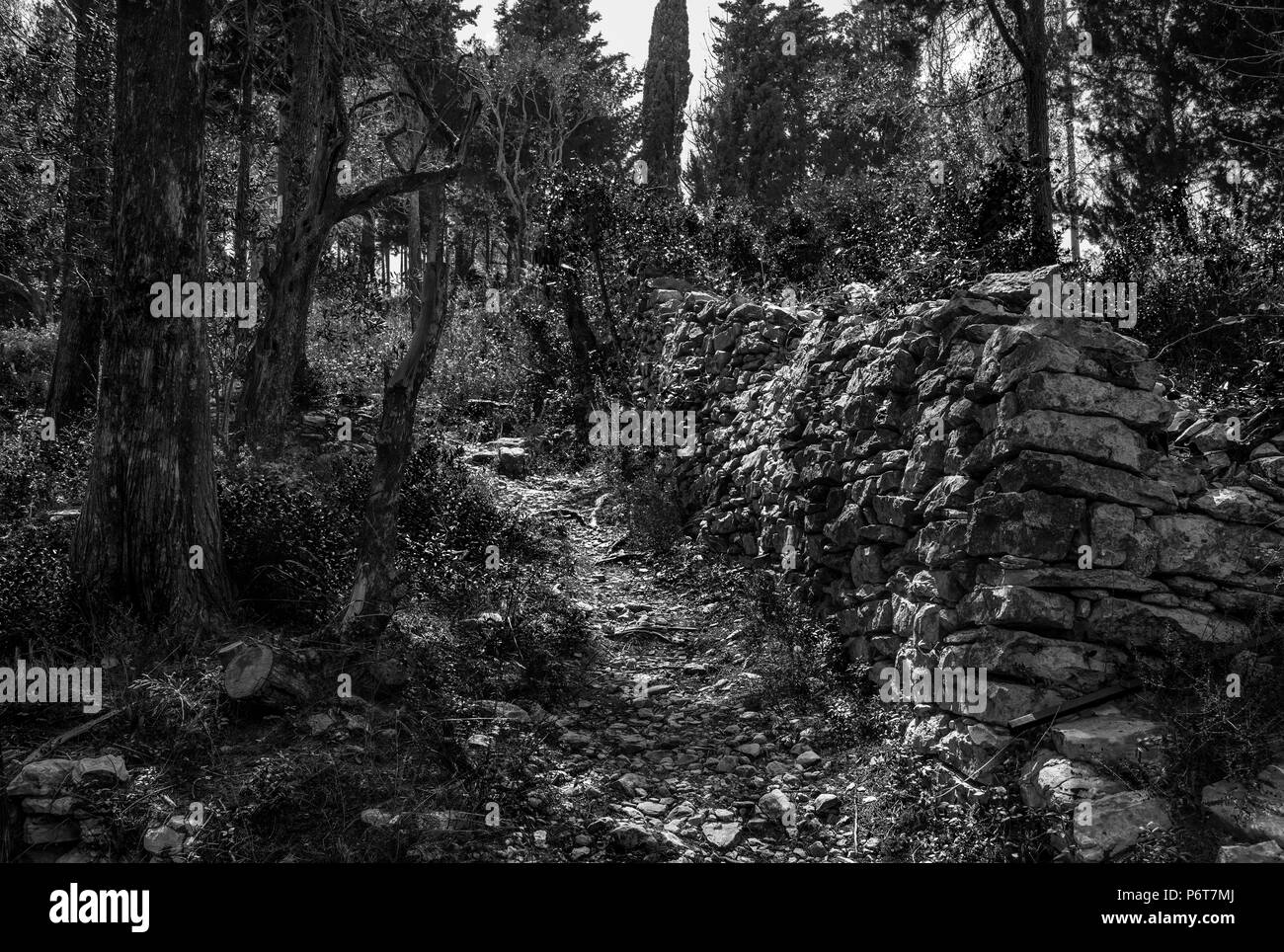 Chemin Des Bois, Lakka, Paxos. Banque D'Images
