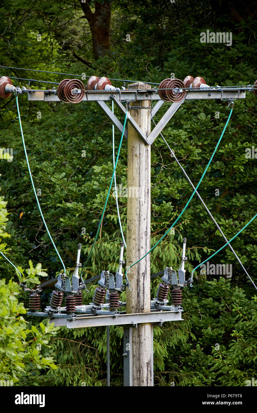 Disque en céramique et isolateurs de câbles en haut d'une colonne d'alimentation d'électricité dans les lignes de coupe de la forêt england uk Banque D'Images
