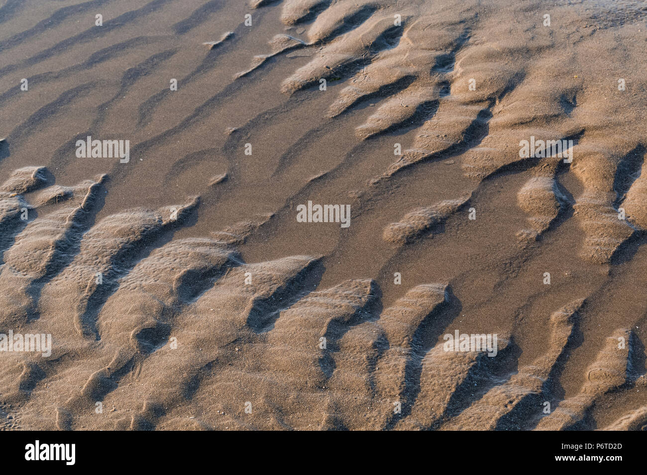 Sandy shore ondulations de Shi Shi plage à marée basse le long de l'océan Pacifique à l'Olympic National Park, Washington State, USA Banque D'Images