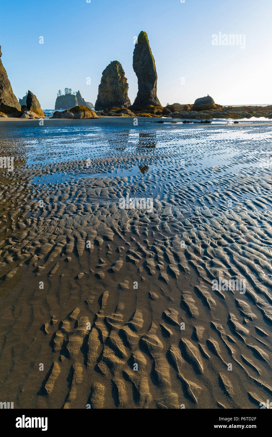 Point de formations de roche d'Arches avec la surface ondulée de Shi Shi plage à marée basse le long de l'océan Pacifique à l'Olympic National Park, Washington Banque D'Images