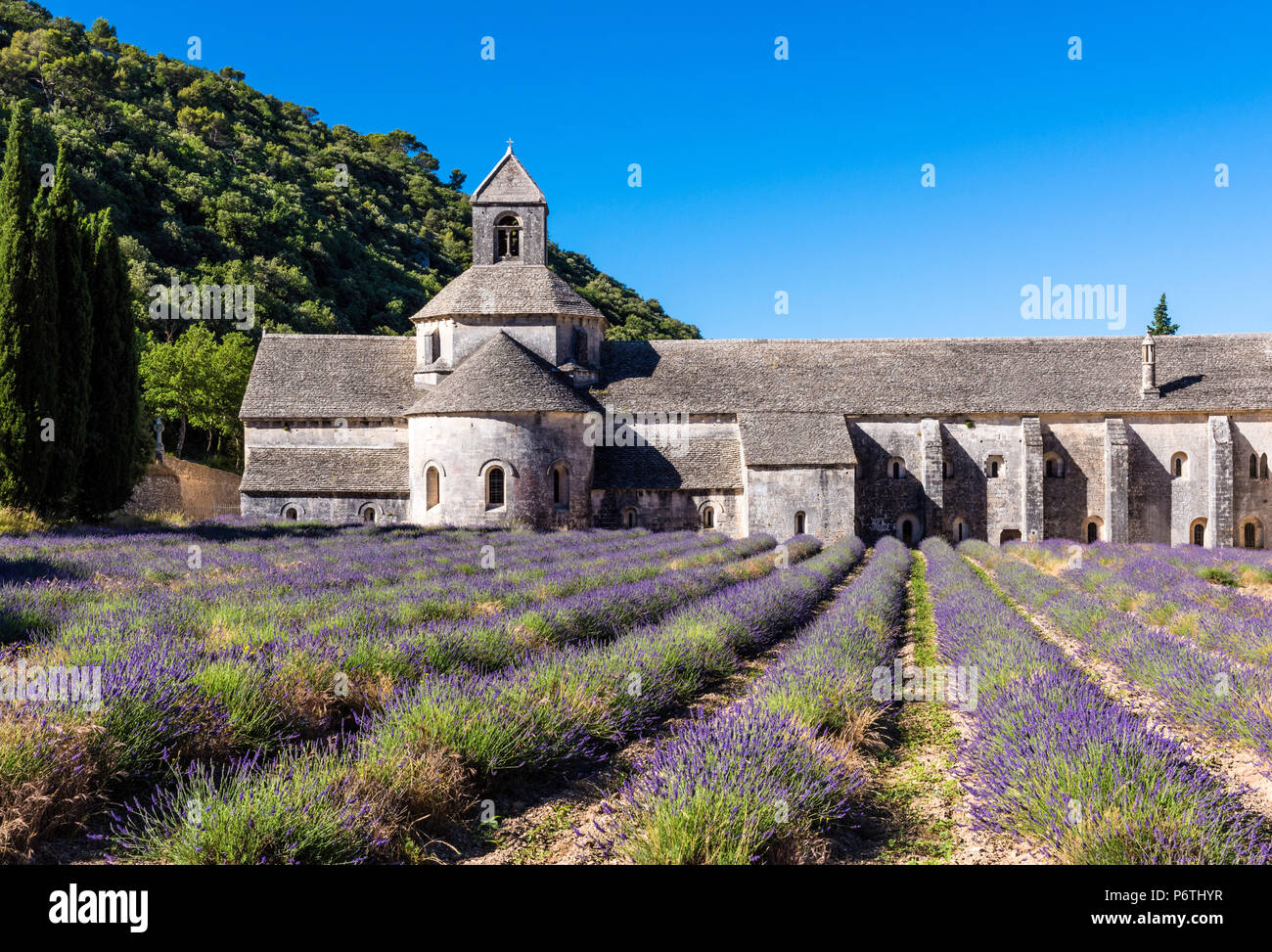 Abbaye de Sénanque, Provence, France Banque D'Images