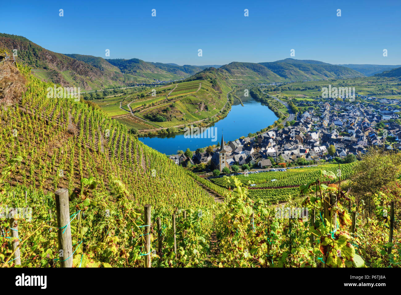 Mosel avec Calmont vignoble, Bremm, Rhénanie-Palatinat, Allemagne Banque D'Images