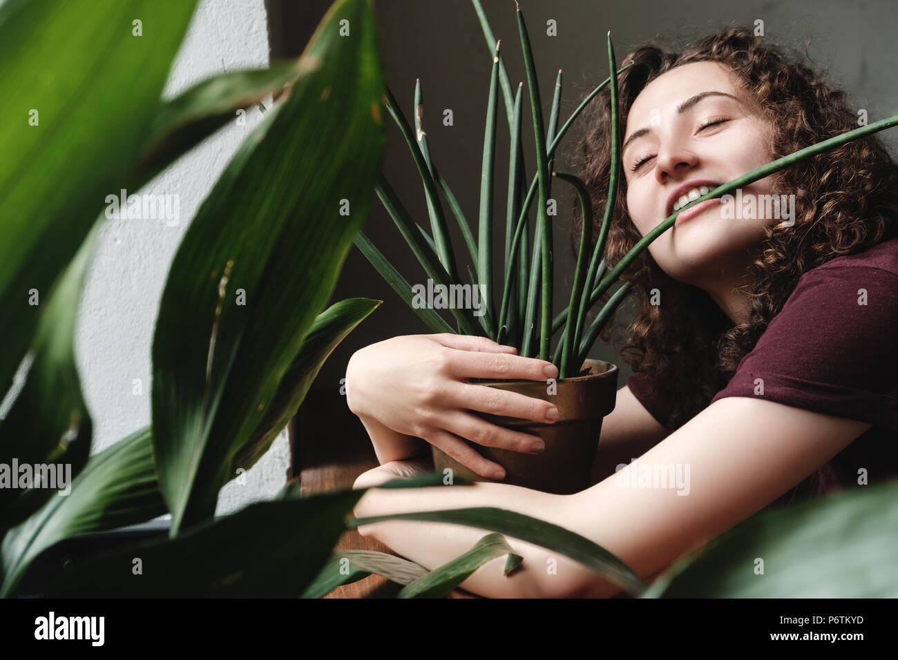 Belle jeune fille brune avec une plante en pot Banque D'Images